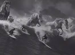 Image result for Summerside Bowling Club