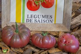 Afbeeldingsresultaat voor purple calabash tomato