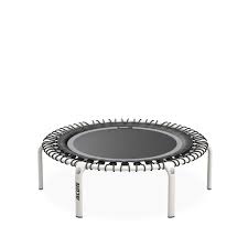 Image result for White Rose Trampoline Academy