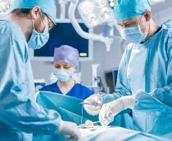 Image result for cesarskie