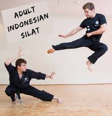 Image result for Warley Martial Arts Centre