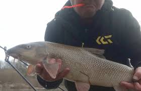 Image result for Bargoed Sea Anglers