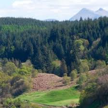 Image result for Dalmally Golf Club