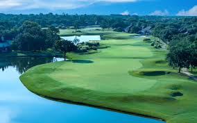 Image result for Falcon Sa Club