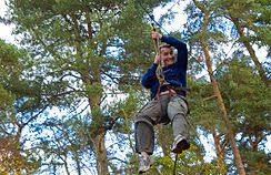 Image result for The Go Ape Experience (Delamere Forest)
