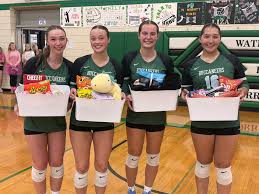 Image result for Ellesmere Port Eels Volleyball Club