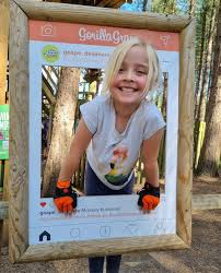 Image result for The Go Ape Experience (Delamere Forest)