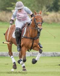 Image result for Cambridge and Newmarket Polo Club