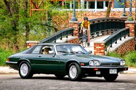 Image result for Racing Green 1981 Jaguar