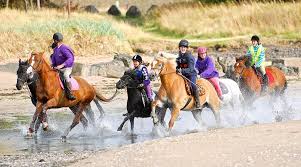 Image result for Fife Riding Club