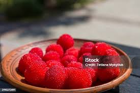 Attēlu rezultāti vaicājumam “Rubus illecebrosus fruit”