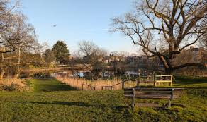 Image result for Old Colfeians Cc