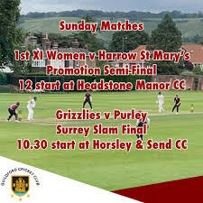 Image result for Guildford Cricket Club