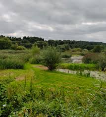 Image result for Rodley Cricket Club