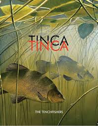 Image result for Tinca tinca