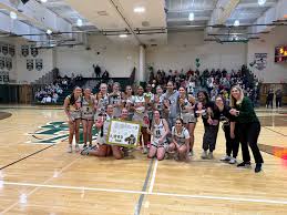 Image result for Westleigh Basketball Club