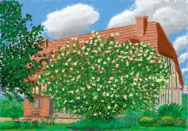 Image result for ipad paintings