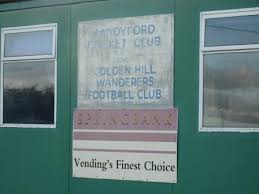 Image result for Sandyford Cricket Club