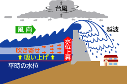 Image result for 高潮 津波 別物