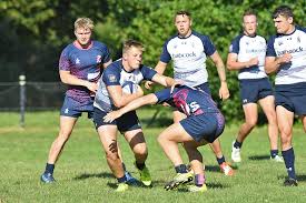 Image result for Stevenage Sharks Rhc