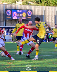 Image result for Dorking Wanderers F C