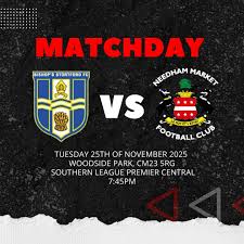 Image result for Needham Market Football Club