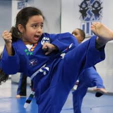 Image result for Skillz Martial Arts