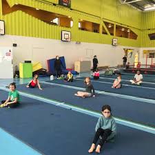 Image result for Swallows Of Helston Gym Club
