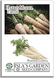 Image result for Pastinaca sativa