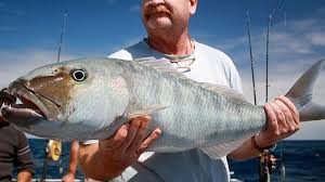 Image result for Aprion virescens