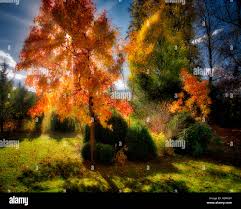 Image result for bad hdr