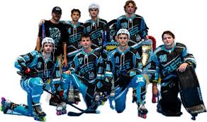 Image result for Walsall Roller Hockey Club