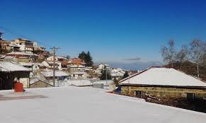 Risultati immagini per pedolesbo