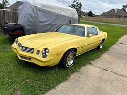 Image result for Berger Yellow 1979 Jaguar