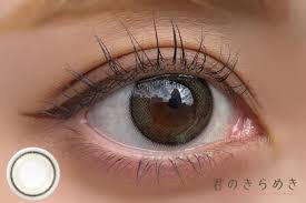 「ネオサイトワンデーシエル」の画像検索結果