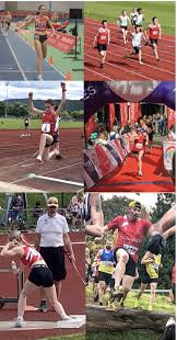 Image result for Llanelli Athletic Club