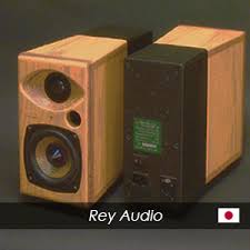 Image result for Rey Audio