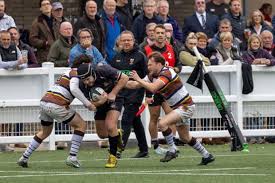 Image result for Southend Rugby Football Club Ltd