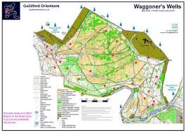 Image result for Guildford Orienteers