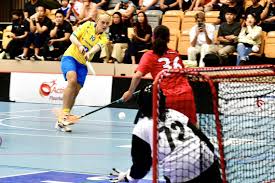 Image result for Basingstoke Demons Floorball Club