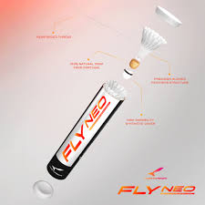 Image result for Flukey Feathers Badminton Club