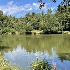 Image result for Addlestone Angling Society