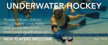 Image result for Yorkshire Ladies Octopush Club