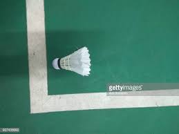 Image result for Chase & Upton Badminton Club