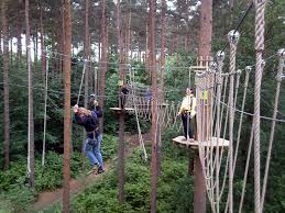 Image result for Go Ape! Alice Holt