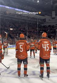 Image result for Sheffield Steelers