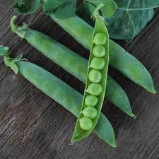 Attēlu rezultāti vaicājumam “Pisum sativum fruit”