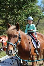 Image result for Riding For The Disabled