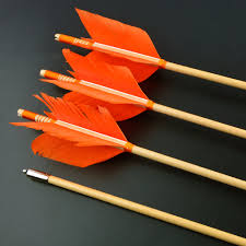 Image result for ArcheryDuns