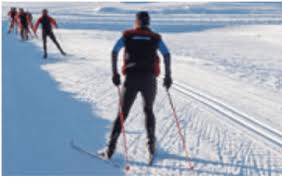 Image result for Tyneside Loipers